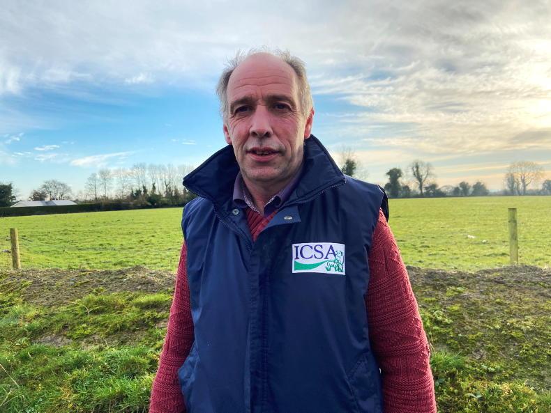 ICSA calls for investigation into cattle being euthanised on farms ICSA calls for investigation into cattle being euthanised on farms
