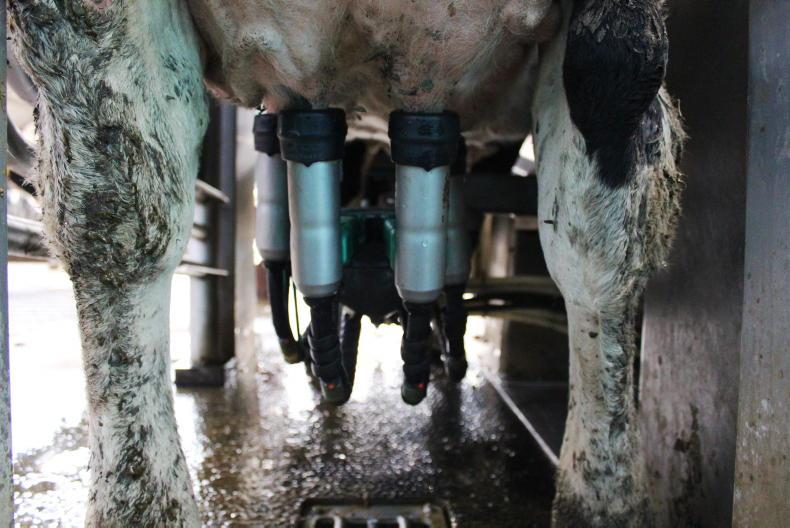 Latvian farmer suspected of robotic milking equipment subsidy fraud Latvian farmer suspected of robotic milking equipment subsidy fraud