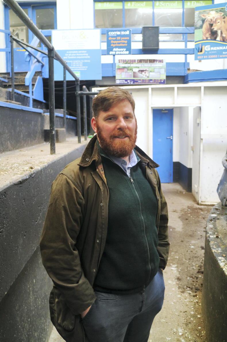 Sheep sales nosedive by 19% in marts Sheep sales nosedive by 19% in marts
