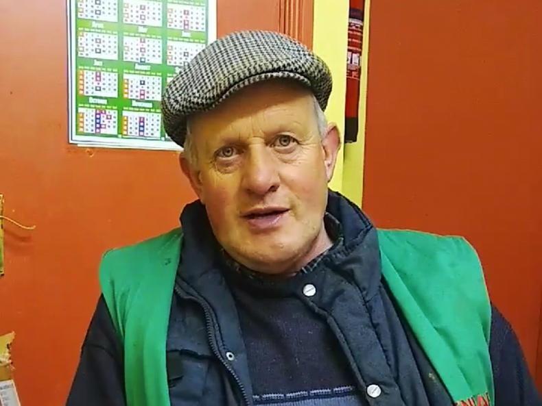 Sheep sales nosedive by 19% in marts Sheep sales nosedive by 19% in marts