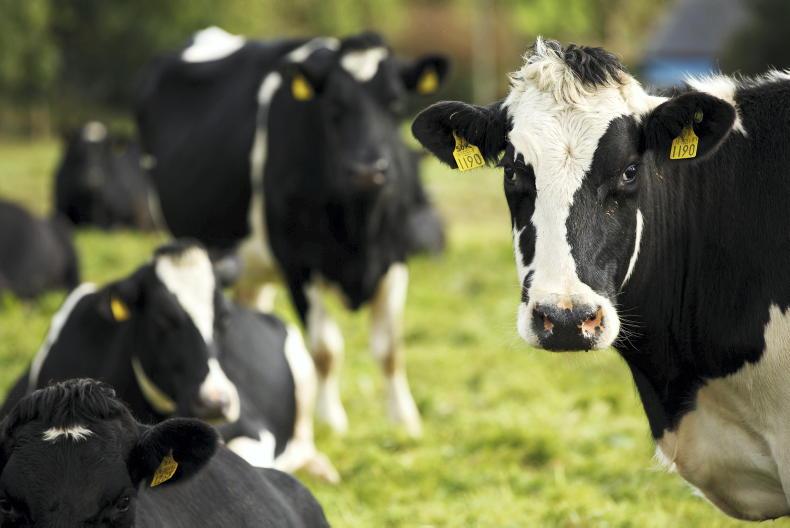 Dairy farm incomes to almost halve amid cost-price squeeze Dairy farm incomes to almost halve amid cost-price squeeze