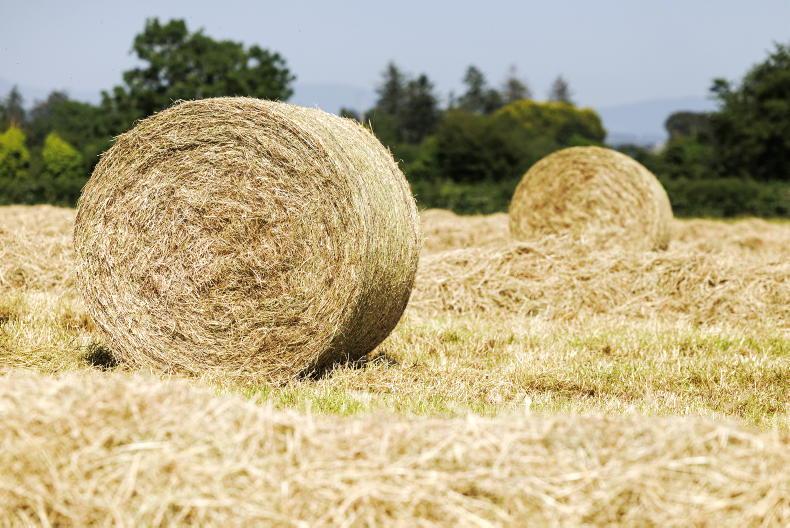 Share your views: what are hay and straw costing in your area Share your views: what are hay and straw costing in your area