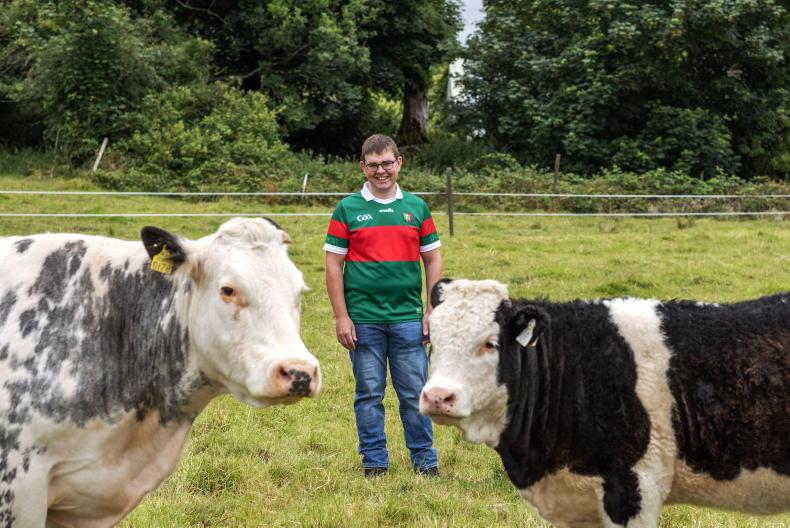 My Farming Week: Alan Flatley, Glann, Kilkelly, Co Mayo My Farming Week: Alan Flatley, Glann, Kilkelly, Co Mayo