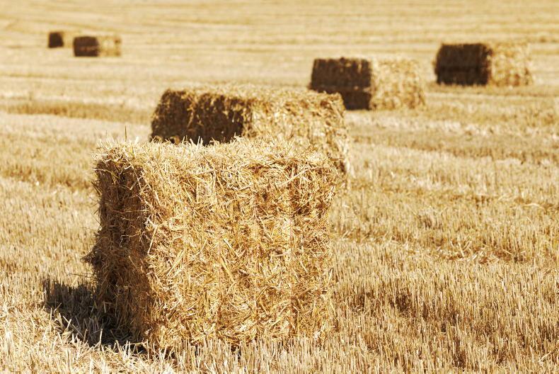 No extension to catch crop planting deadline No extension to catch crop planting deadline