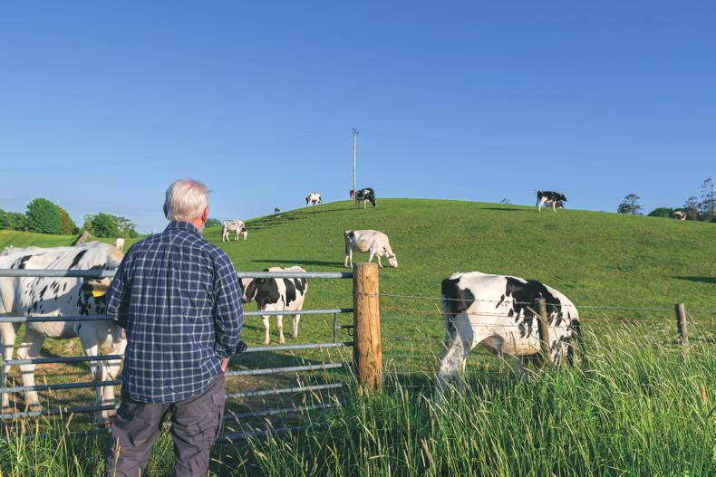 Buying a farm? Key factors you need to consider Buying a farm? Key factors you need to consider