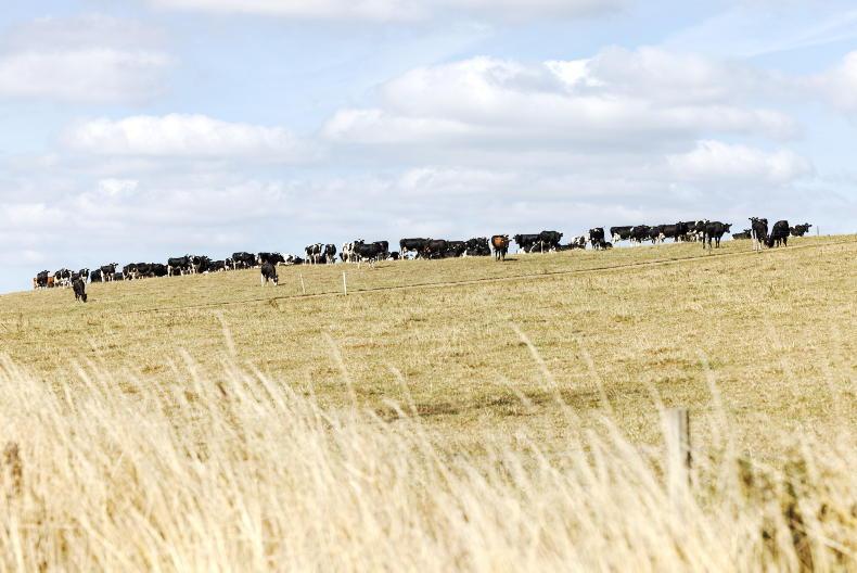 The Grass Week: soil moisture deficit bites hard The Grass Week: soil moisture deficit bites hard