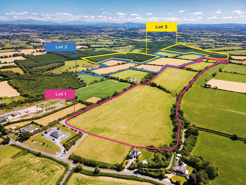 176ac mixed grassland and forestry holding guides at €1.6m 176ac mixed grassland and forestry holding guides at €1.6m