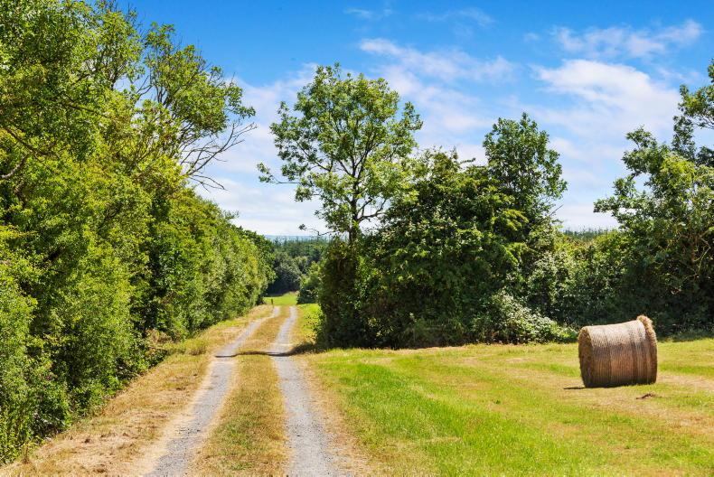 176ac mixed grassland and forestry holding guides at €1.6m