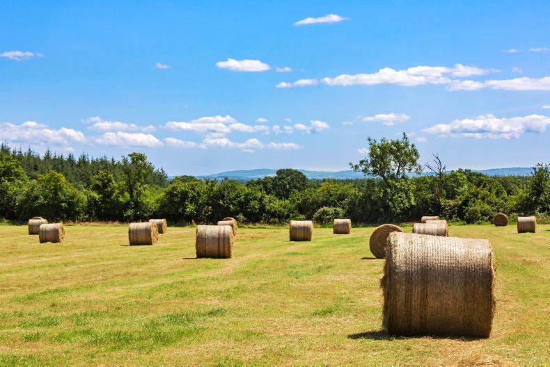 176ac mixed grassland and forestry holding guides at €1.6m