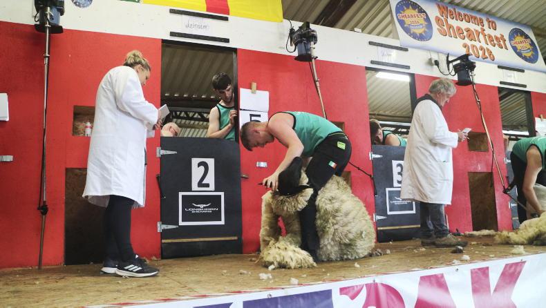 Dunne’s thrilling shearing year continues with Royal Welsh win Dunne’s thrilling shearing year continues with Royal Welsh win