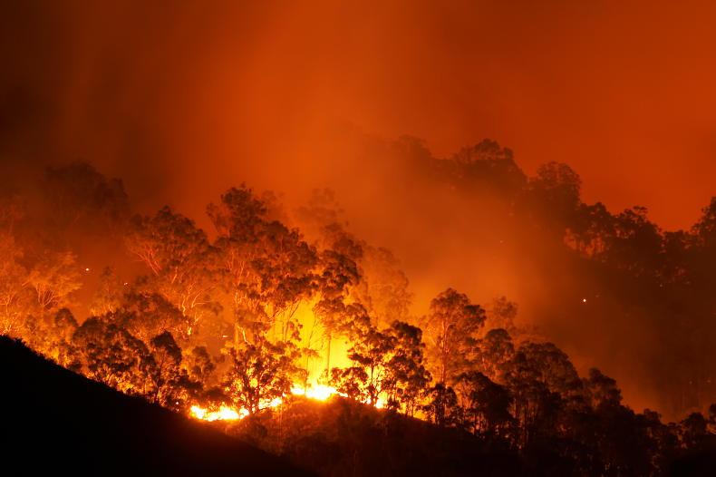 Farmers commended for efforts as Slievenamon fire continues to burn Farmers commended for efforts as Slievenamon fire continues to burn