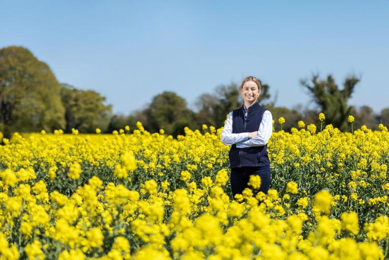 Tillage scheme moving forward Tillage scheme moving forward