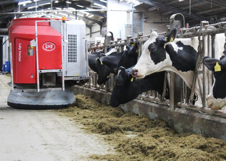 Aurivo ahead of Dale Farm in 1m litre leagues Aurivo ahead of Dale Farm in 1m litre leagues