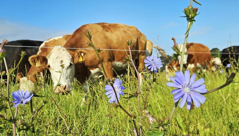 Agri jobs: Donegal farm seeks managers Agri jobs: Donegal farm seeks managers