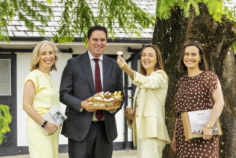 Applications open for programme supporting rural female entrepreneurs Applications open for programme supporting rural female entrepreneurs