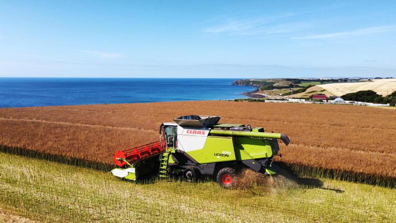 Impressive oilseed rape and a GPS theft Impressive oilseed rape and a GPS theft