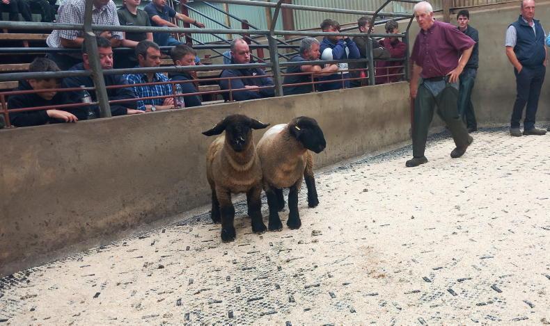 Fat lambs sell to £186 in Kilrea Mart Fat lambs sell to £186 in Kilrea Mart