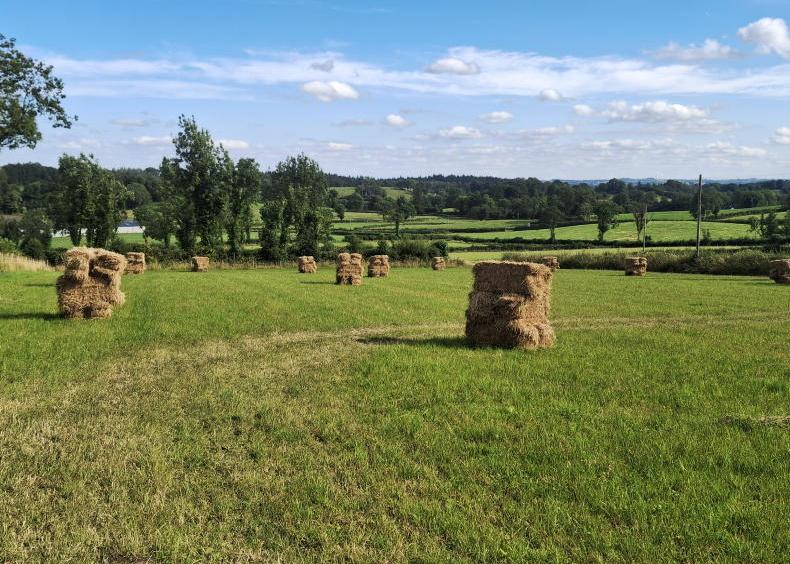 Making hay while the sun shines Making hay while the sun shines