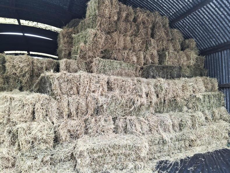 Making hay while the sun shines Making hay while the sun shines
