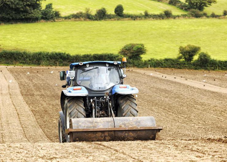 To reseed or not to reseed as drought continues in parts To reseed or not to reseed as drought continues in parts