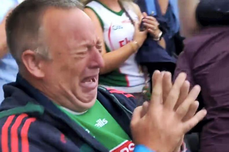 Viral Mayo Fan Returns To The Farm After Unforgettable Win Viral Mayo Fan Returns To The Farm After Unforgettable Win