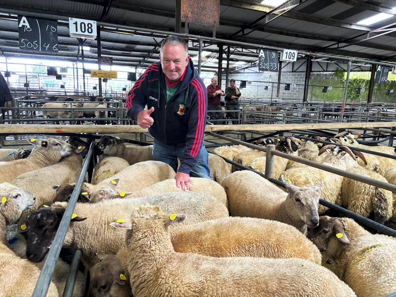 Viral Mayo Fan Returns To The Farm After Unforgettable Win Viral Mayo Fan Returns To The Farm After Unforgettable Win