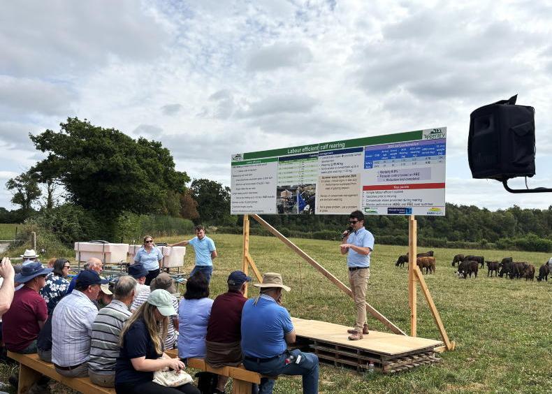 Labour key focus for Ballyvadin dairy calf to beef Labour key focus for Ballyvadin dairy calf to beef