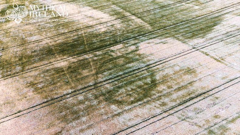 Dry weather unveils new ringfort in Meath Dry weather unveils new ringfort in Meath