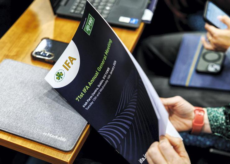 IFA examines electronic voting for 2027 elections IFA examines electronic voting for 2027 elections