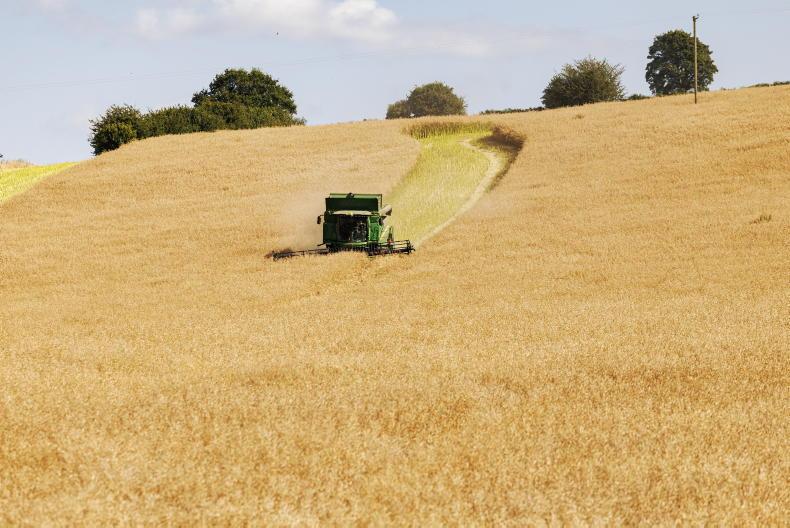 Early harvest continues with wheat, rye and spring barley Early harvest continues with wheat, rye and spring barley