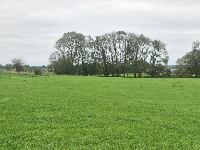 Teagasc incomes contrast with farming Teagasc incomes contrast with farming