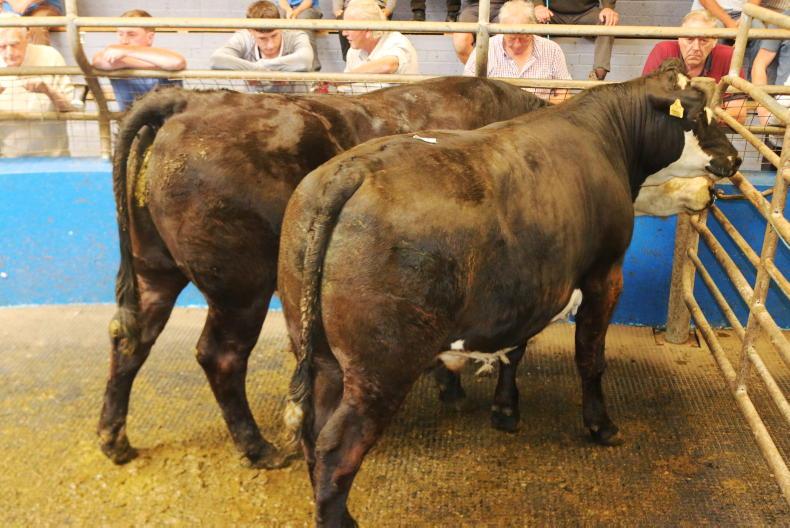 Martbids Database: trade remains tough amid several challenges Martbids Database: trade remains tough amid several challenges