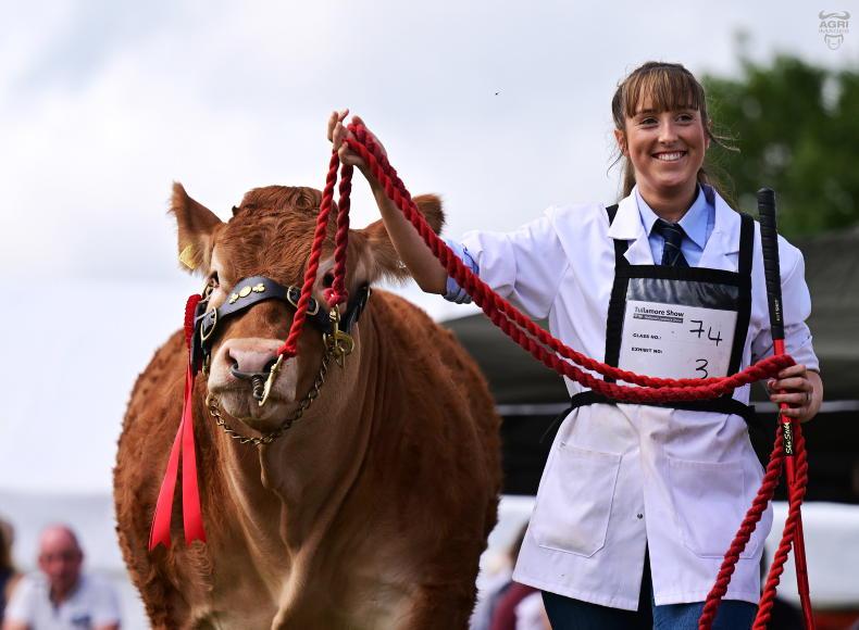 Tullamore Show: New ET and natural-bred classes for 2026-born Limousin calves Tullamore Show: New ET and natural-bred classes for 2026-born Limousin calves