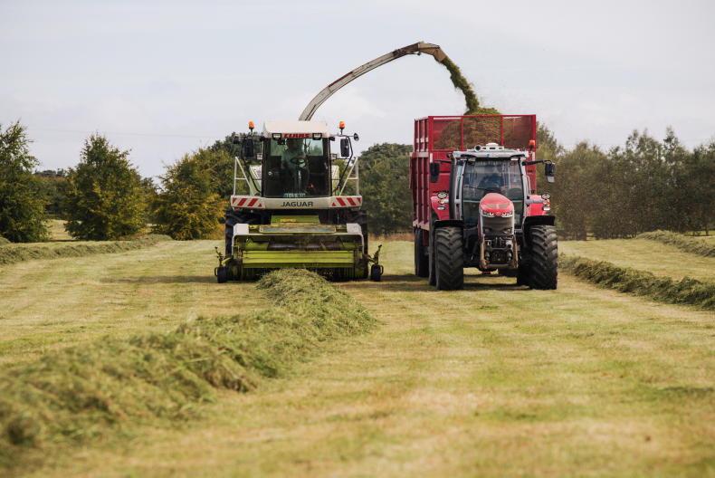 Time to check silage levels and access feed options for winter Time to check silage levels and access feed options for winter
