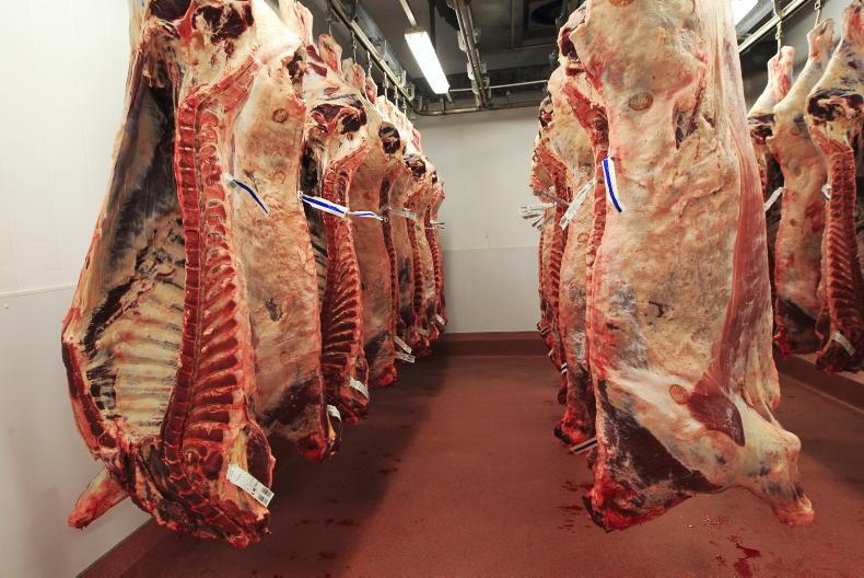 Factories easing back quotes for finished cattle Factories easing back quotes for finished cattle