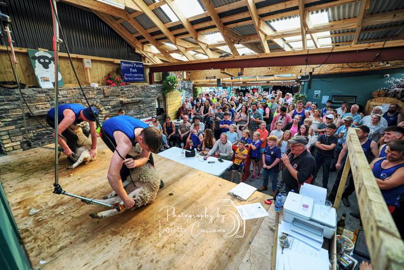 World's fastest sheep shearers to compete at Longford Charity Speed Shear World's fastest sheep shearers to compete at Longford Charity Speed Shear