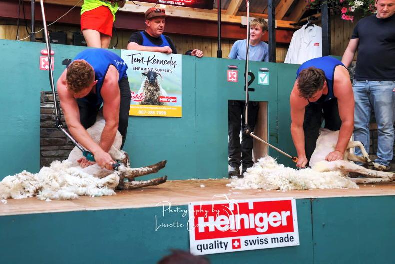 World's fastest sheep shearers to compete at Longford Charity Speed Shear World's fastest sheep shearers to compete at Longford Charity Speed Shear