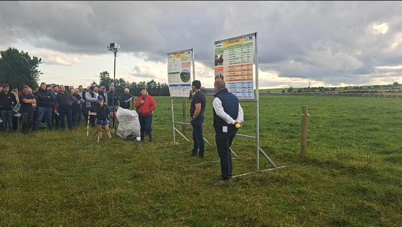 Watch: Roscommon farmer shares breeding lessons after difficult calving Watch: Roscommon farmer shares breeding lessons after difficult calving