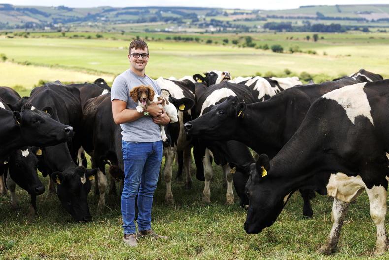 My Farming Week: Michael Sheehan, Rathcoola, Donoughmore, Co Cork. My Farming Week: Michael Sheehan, Rathcoola, Donoughmore, Co Cork.