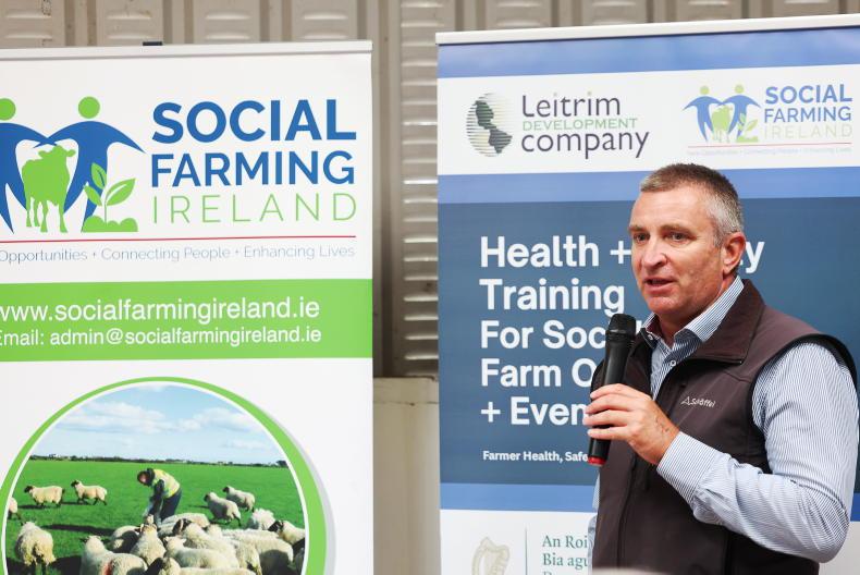 New farm safety guidance for social farmers and farm walk hosts New farm safety guidance for social farmers and farm walk hosts