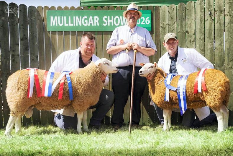 Togherbeg Magnificent claims Belclare All-Ireland for breeder Barry Cunningham Togherbeg Magnificent claims Belclare All-Ireland for breeder Barry Cunningham