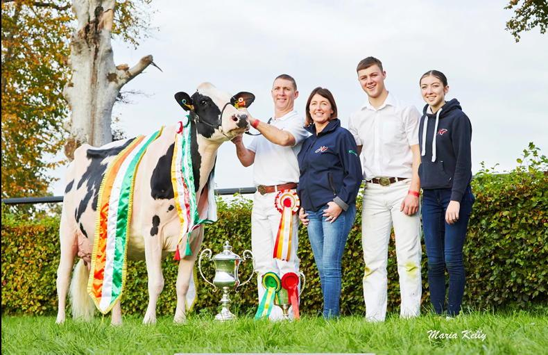 Tullamore Show: Record dairy entries for €25,000 prize fund Tullamore Show: Record dairy entries for €25,000 prize fund