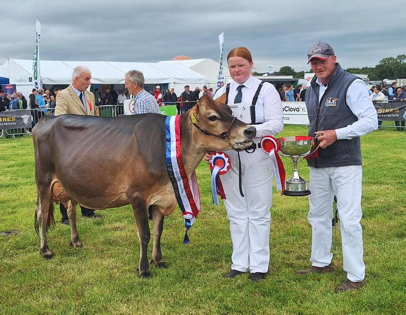 Tullamore Show: Record dairy entries for €25,000 prize fund Tullamore Show: Record dairy entries for €25,000 prize fund