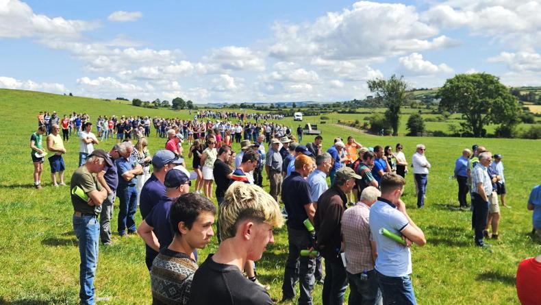 Farmers 'better off doing rain dance' than burning diesel in current weather Farmers 'better off doing rain dance' than burning diesel in current weather