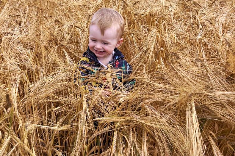 Country Vibes... a few of our favourite things Country Vibes... a few of our favourite things