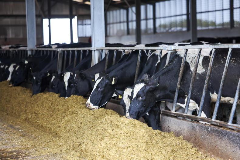 Dairy Management: crude protein in feeds and winter feed requirements Dairy Management: crude protein in feeds and winter feed requirements