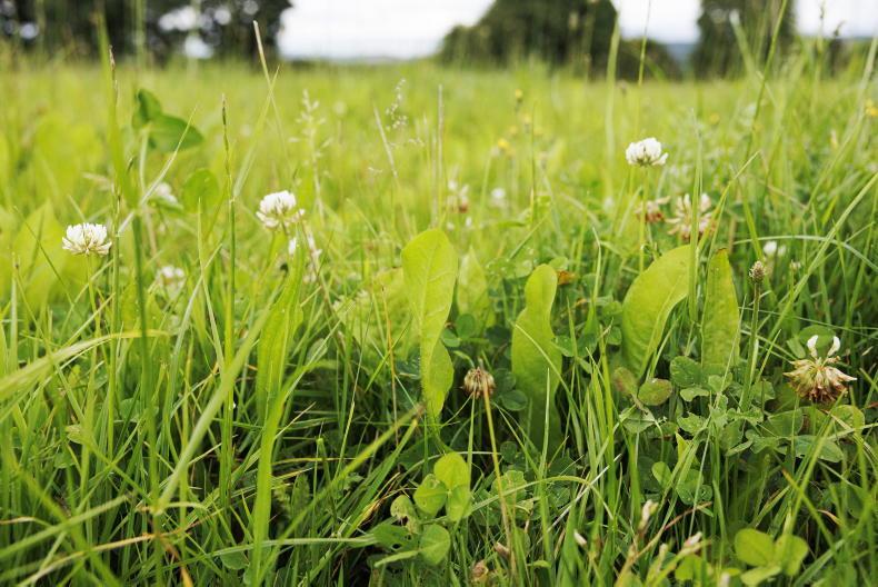 Demand for Farming with Nature doubles Demand for Farming with Nature doubles