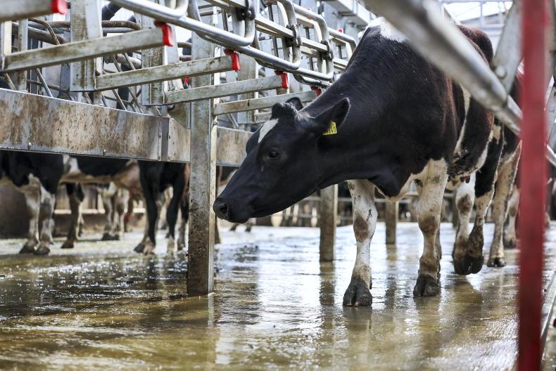Dairy Trends: GDT prices steady with big uptick in product sold Dairy Trends: GDT prices steady with big uptick in product sold