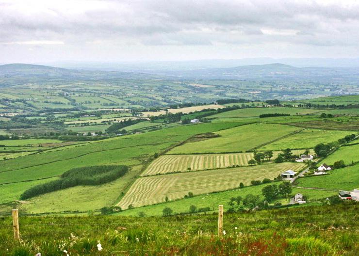 NI land prices rise four-fold in 25 years NI land prices rise four-fold in 25 years