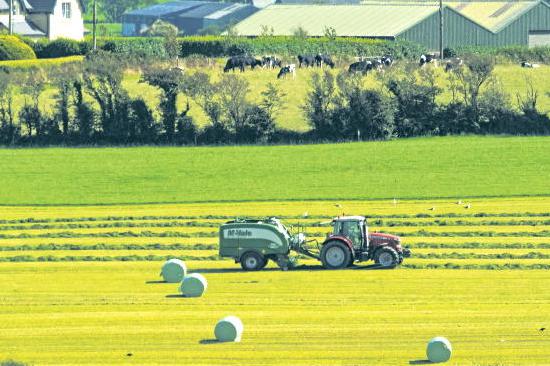 Money Mentor: 'how do I prioritise farm upgrades and investment?’ Money Mentor: 'how do I prioritise farm upgrades and investment?’